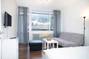 Apartmány na Tanvaldském Špičáku, Jiřetín Pod Bukovou